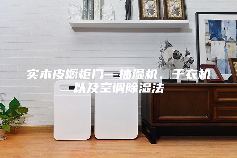 實(shí)木皮櫥柜門(mén)—抽濕機(jī)、干衣機(jī)以及空調(diào)除濕法