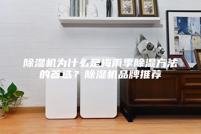 除濕機(jī)為什么是梅雨季除濕方法的首選？除濕機(jī)品牌推薦