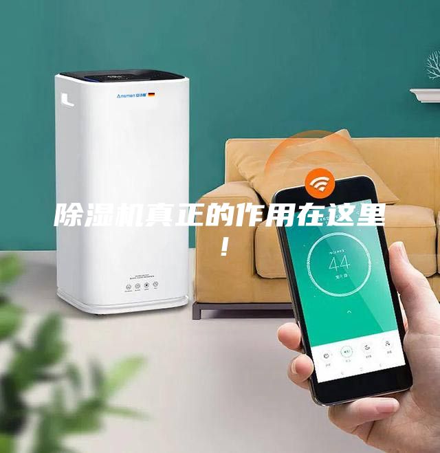 除濕機(jī)真正的作用在這里！