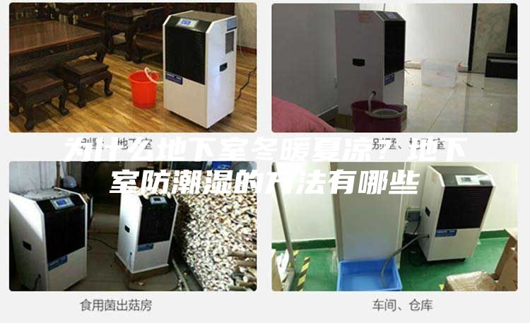 為什么地下室冬暖夏涼？地下室防潮濕的方法有哪些