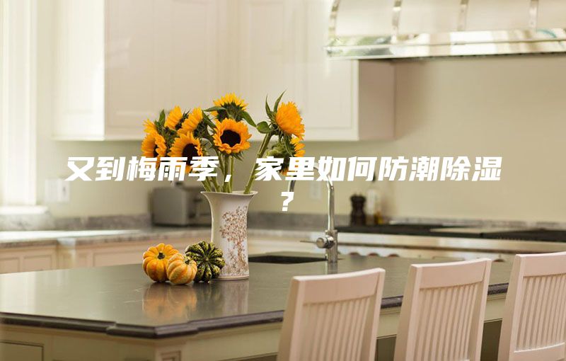 又到梅雨季，家里如何防潮除濕？