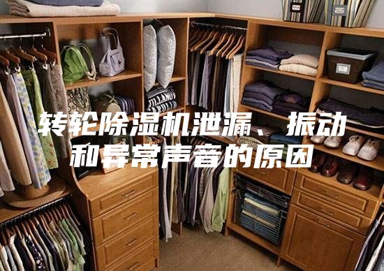 轉(zhuǎn)輪除濕機(jī)泄漏、振動(dòng)和異常聲音的原因