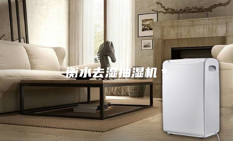 衡水去濕抽濕機(jī)*