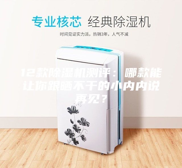 12款除濕機(jī)測評：哪款能讓你跟曬不干的小內(nèi)內(nèi)說再見？