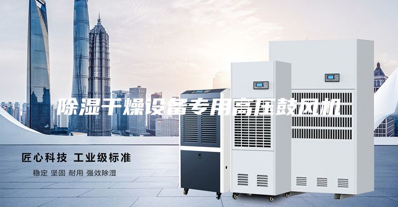 除濕干燥設(shè)備專用高壓鼓風(fēng)機(jī)