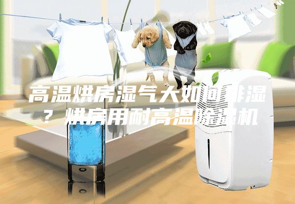 高溫烘房濕氣大如何排濕？烘房用耐高溫除濕機(jī)