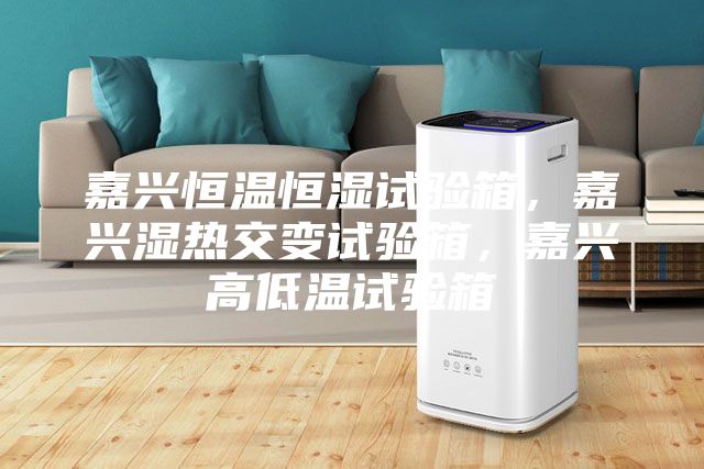 嘉興恒溫恒濕試驗(yàn)箱，嘉興濕熱交變?cè)囼?yàn)箱，嘉興高低溫試驗(yàn)箱