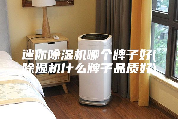 迷你除濕機哪個牌子好(除濕機什么牌子品質(zhì)好)