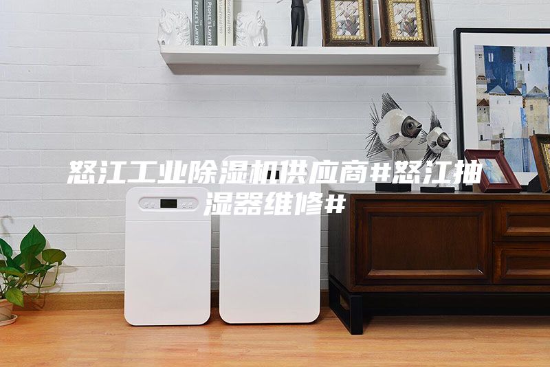 怒江工業(yè)除濕機(jī)供應(yīng)商#怒江抽濕器維修#