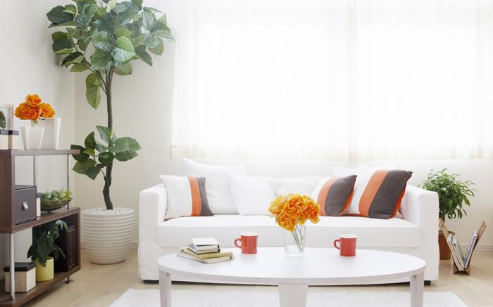 蔬菜加濕器,讓新鮮蔬菜保鮮更省心