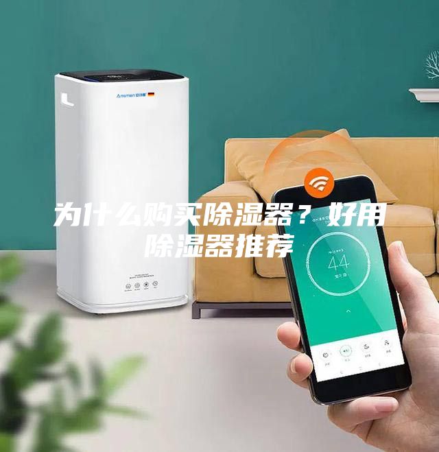 為什么購買除濕器？好用除濕器推薦