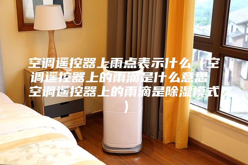 空調(diào)遙控器上雨點表示什么（空調(diào)遙控器上的雨滴是什么意思 空調(diào)遙控器上的雨滴是除濕模式）