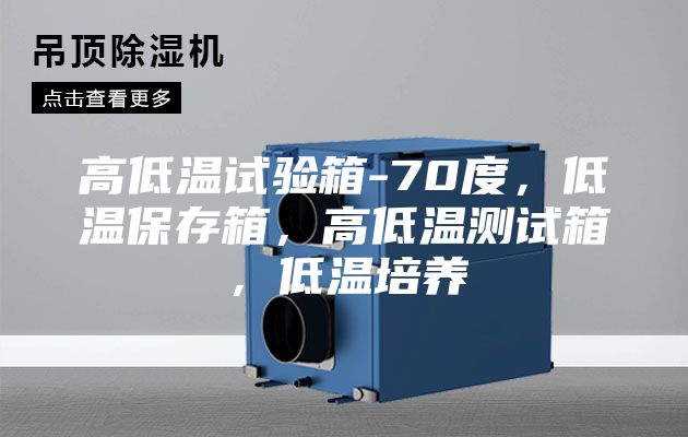 高低溫試驗箱-70度，低溫保存箱，高低溫測試箱，低溫培養(yǎng)