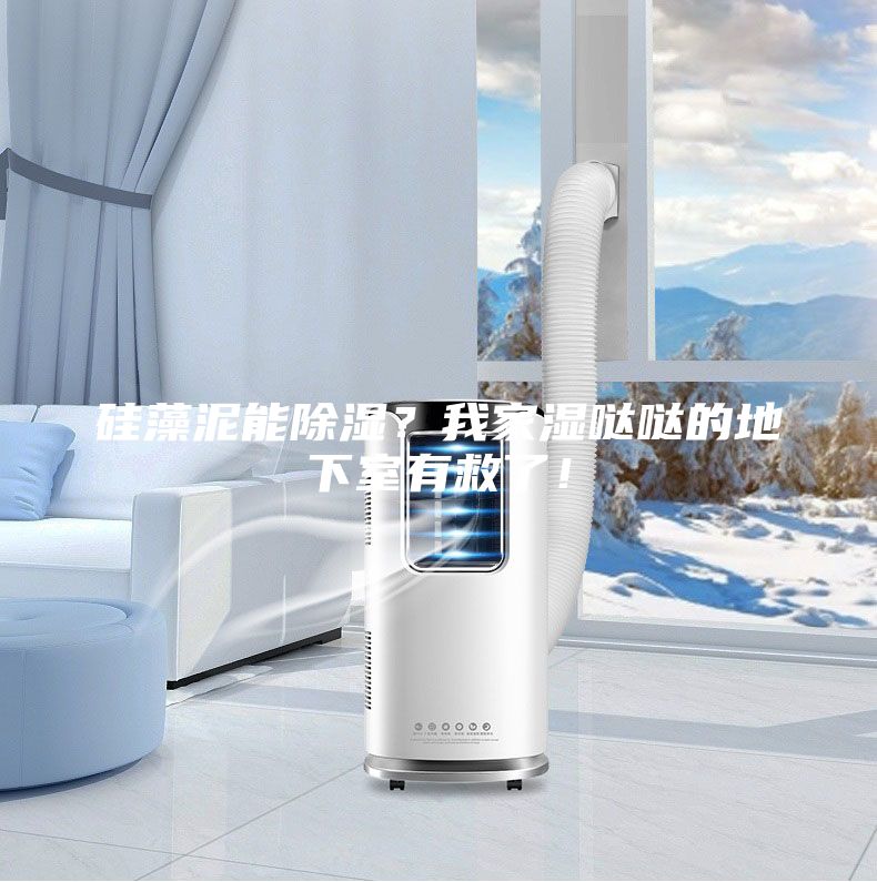 硅藻泥能除濕？我家濕噠噠的地下室有救了！
