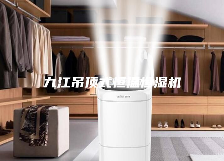 九江吊頂式恒溫恒濕機(jī)